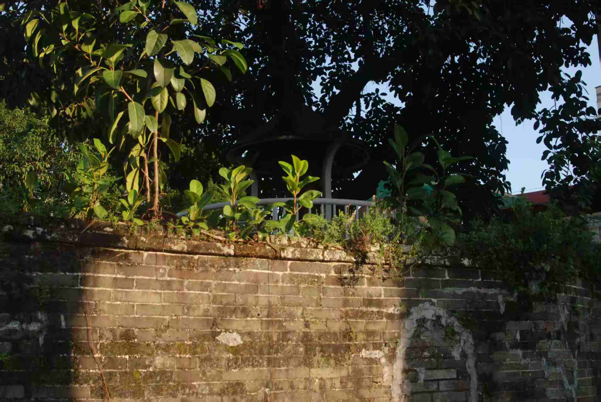 一堵意义不明的墙